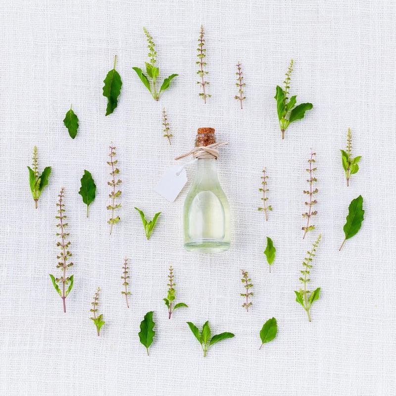Echinacea
